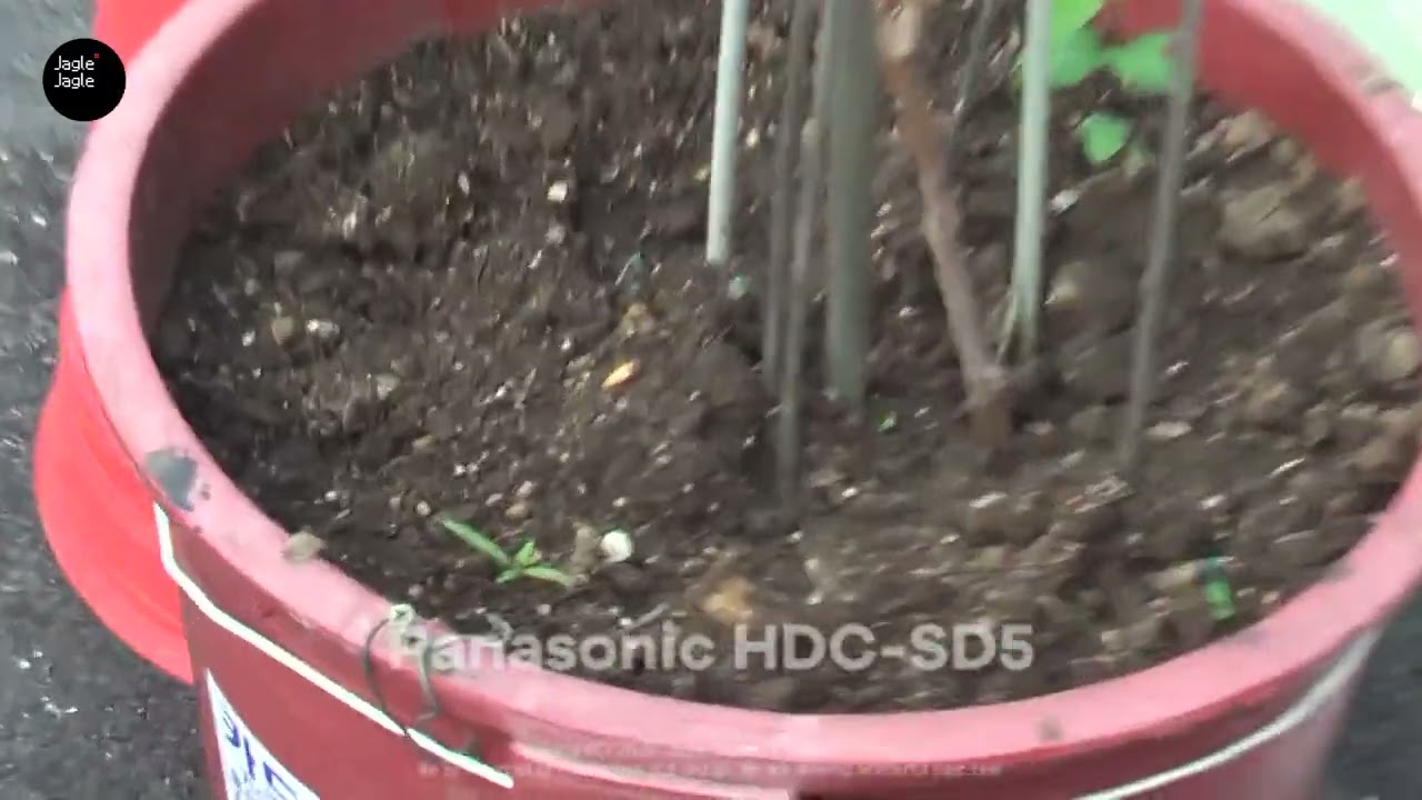 빈티지 캠코더👀 Panasonic HDC-SD5