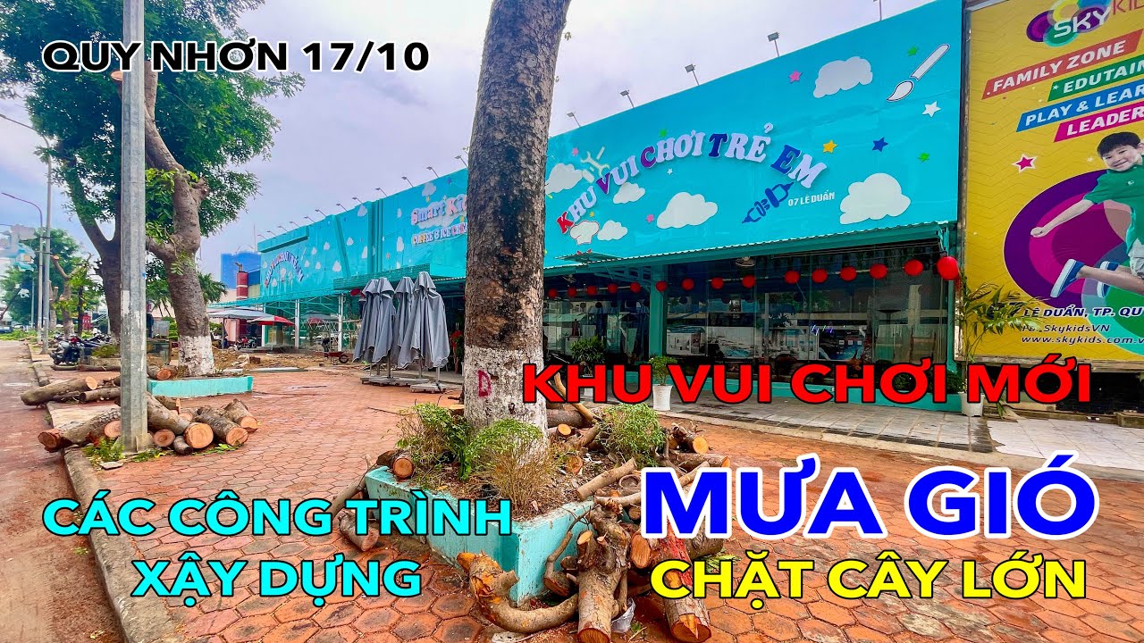 CẬP NHẬT NHỮNG ĐIỂM MỚI NHẤT QUY NHƠN | CÁC CÔNG TRÌNH XÂY DỰNG | CHẶT CÂY LỚN MÙA MƯA