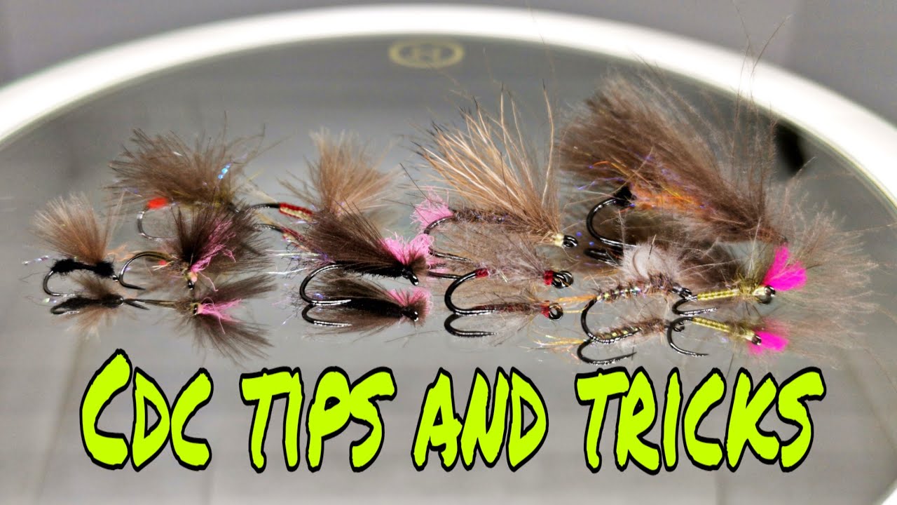 Советы и рекомендации CDC (обсуждение и советы по CDC, как его использовать 100%)