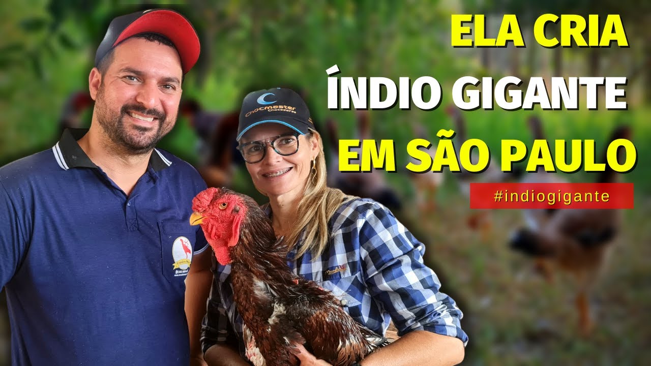 Índio Gigante Da DINHEIRO? Conheça o Criatório da Amanda Mequi