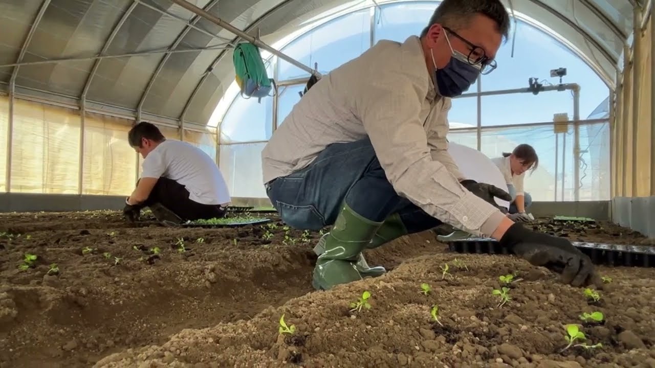Partner with Local Initiative Grow Natural Veggies for Children in Care