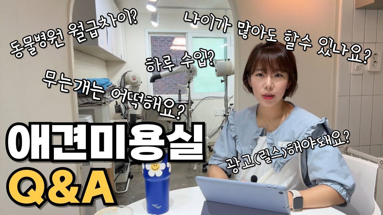 애견미용실 Q&A 모음!🙋‍♀️ |나이많은데창업?동물병원월급차이?무는개?광고(릴스)해야돼요?