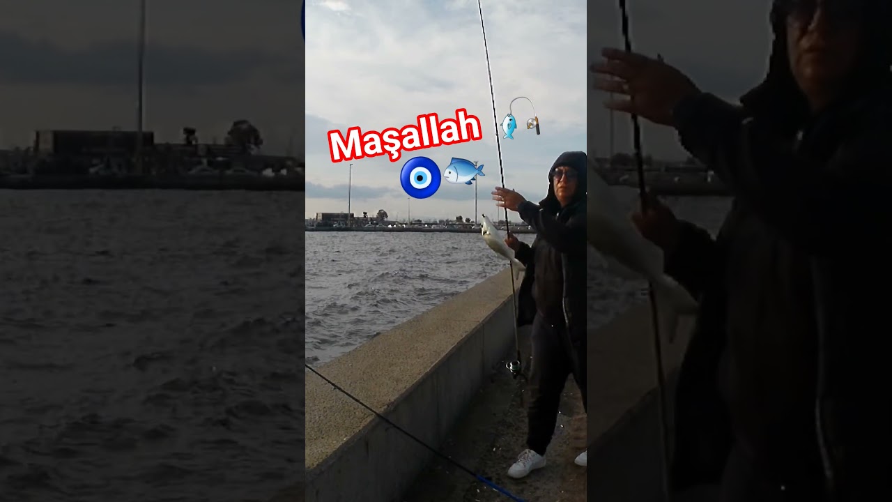 Soğuk Havada Balık Şansı! 🎣❄️ #outdoor #izmirbalıkavi #shorts #youtubeshorts