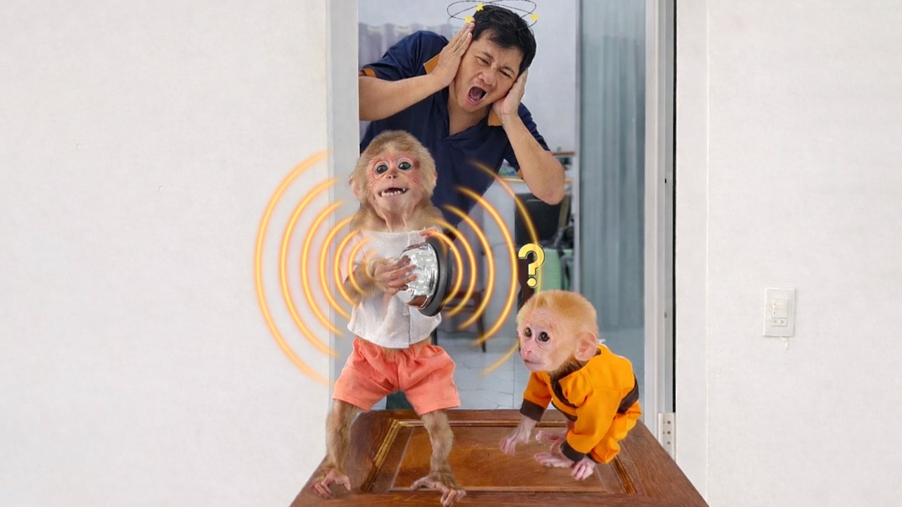 So Funny! Monkey Kyo uses a magic bell to call her dad to bring her food