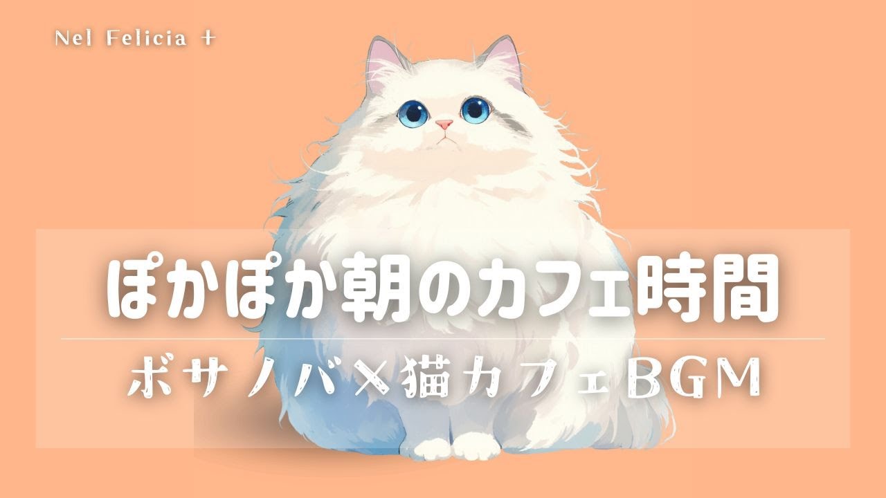 【癒しの猫カフェbgm】朝の時間を整えるボサノバ | 作業・勉強・朝活音楽