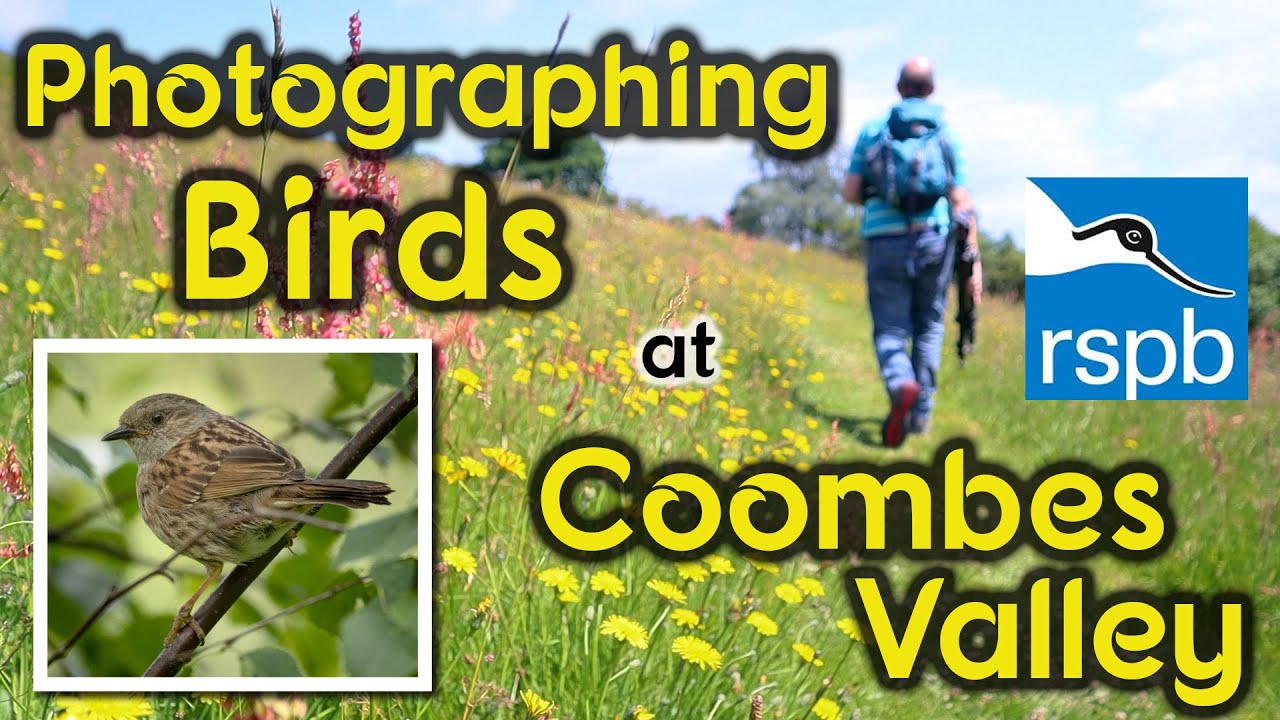 Photographing Birds at RSPB Coombes Valley Nature Reserve