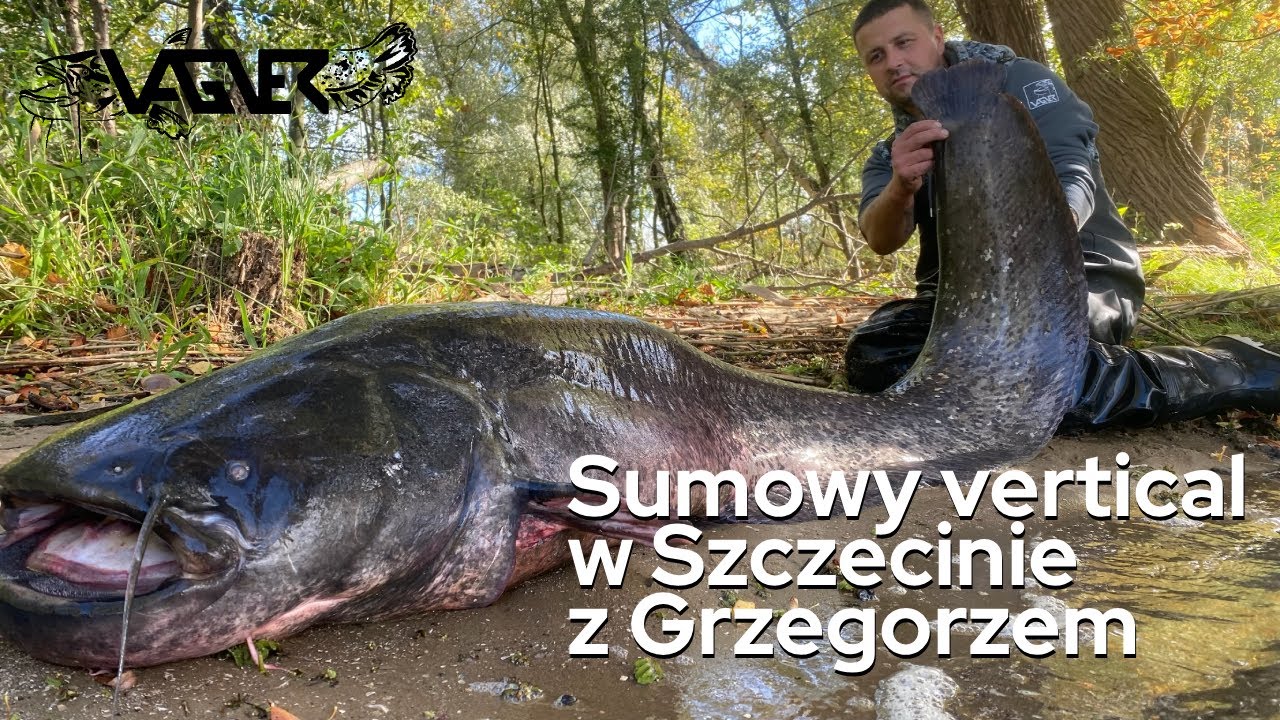 Sumowy vertical w Szczecinie z Grzegorzem | VAGNER Fishing Polska