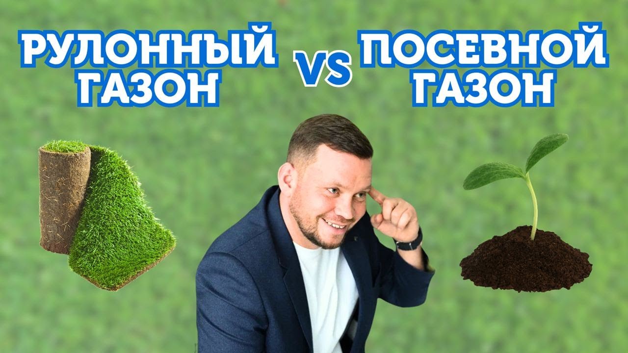 РУЛОННЫЙ ГАЗОН ИЛИ ПОСЕВНОЙ: отличия, особенности ухода, цена и что мы рекомендуем?