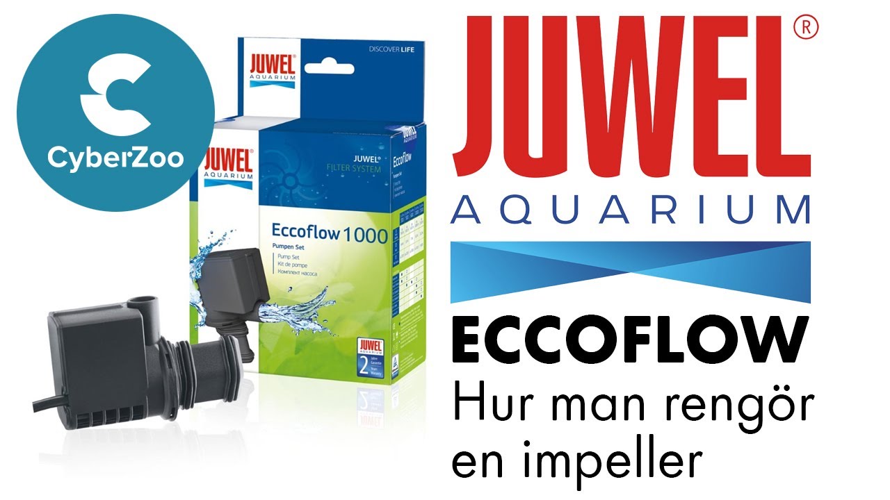 Hur man rengör impellern på Juwel Eccoflow