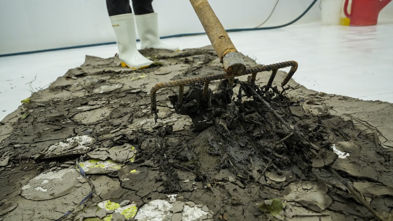 I Thought This Carpet Was Ruined… Until This Deep Cleaning Changed Everything! - Carpet Cleaning
