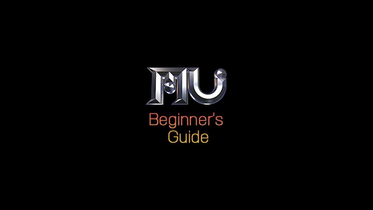 Beginner's Guide: Socket System