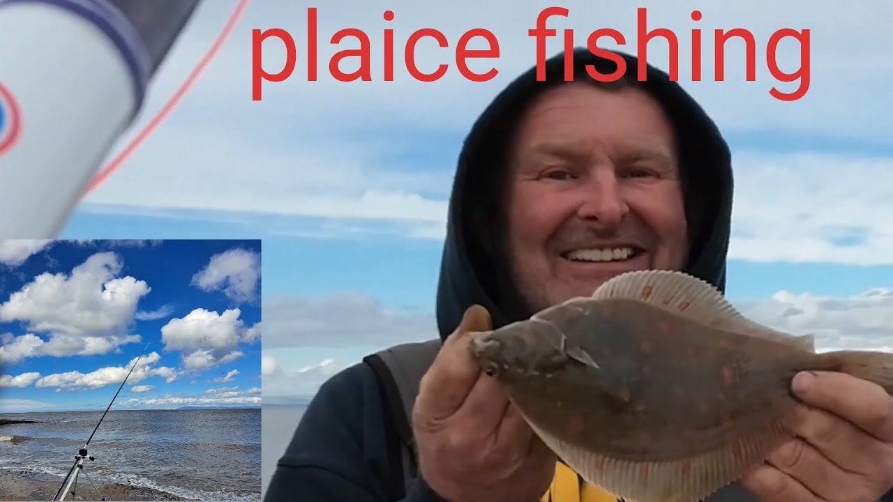Fishing for plaice in fleetwood  UK sea fishing