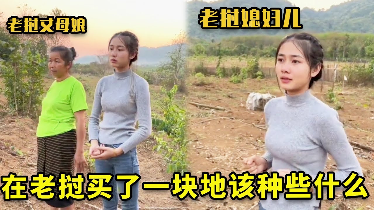 老挝人出售的土地，大家觉得种植什么好？怎么购买才比较靠谱？【老挝七号先生】