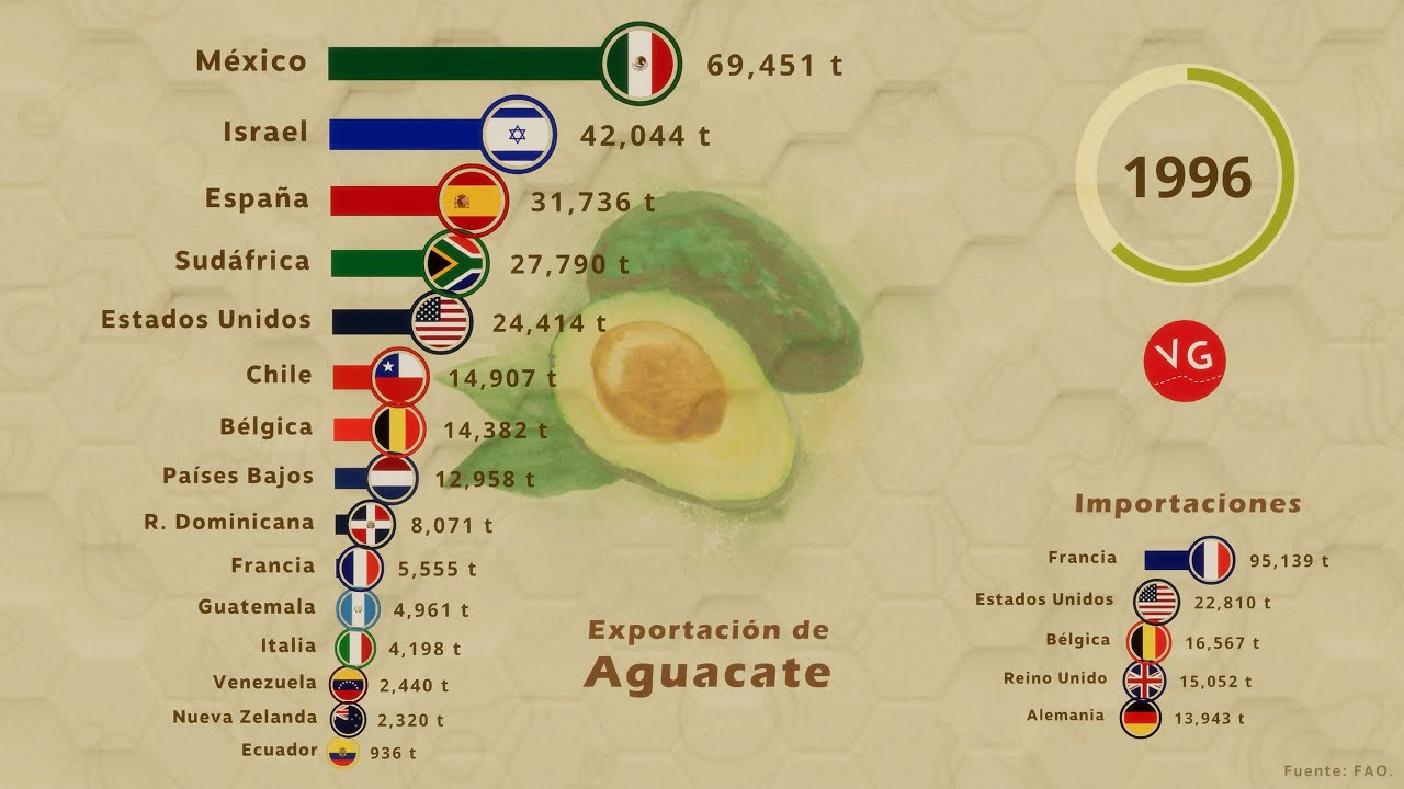 Los Mayores Exportadores de Aguacates del Mundo