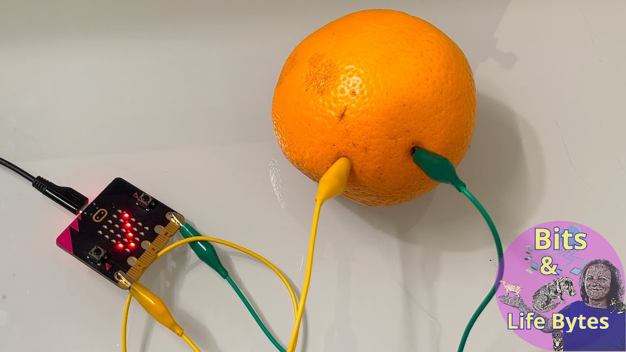 MicroBit Activity: Connectivity with an Orange!