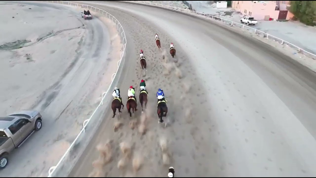الاجتماع السادس الشوط السادس الجواد الجوخ أسطبل البرازي