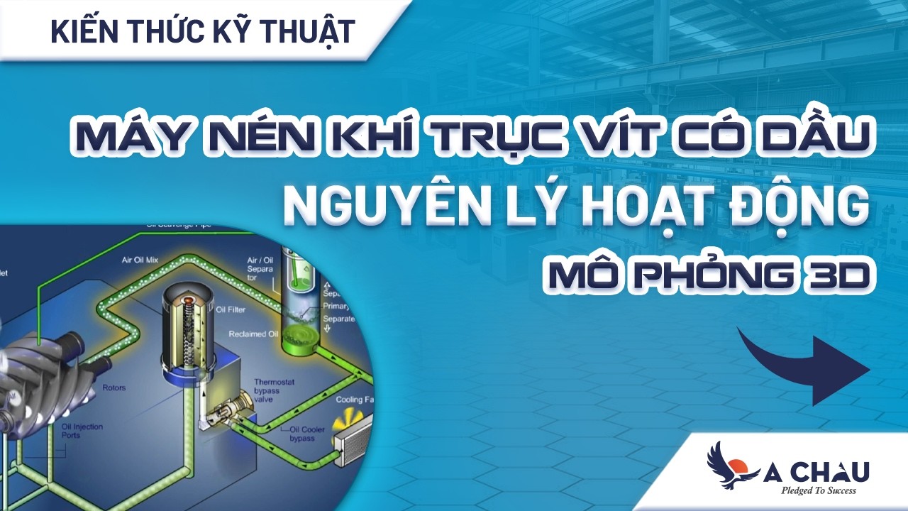 Nguyên lý hoạt động máy nén khí trục vít có dầu 3D khí nén á châu