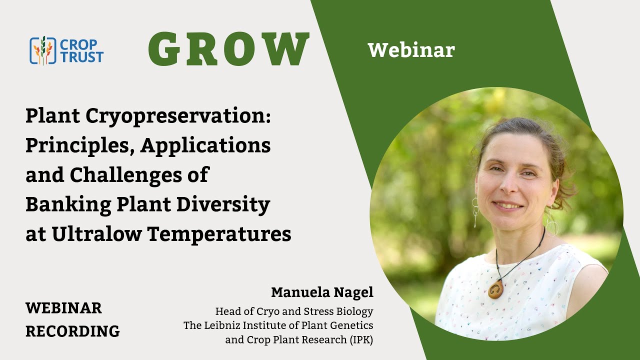 GROW Webinar: Principles, Applications and Challenges of Cryopreservation with Manuela Nagel