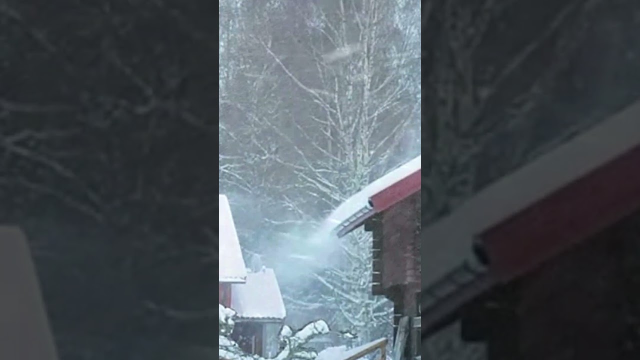 ❄️ Immersive Snowstorm Experience | Ultimate Relaxation & Meditation Ambience / #FunAmbience
