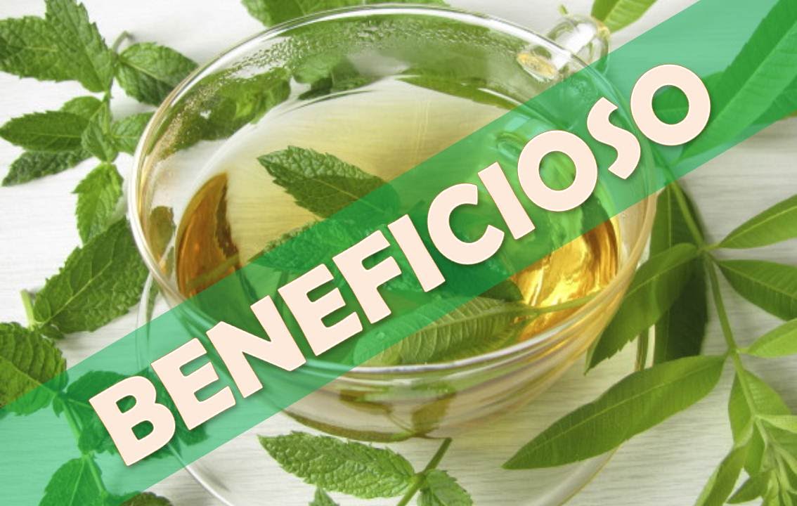 ☞ Te de verbena los mejores beneficios para el cuerpo