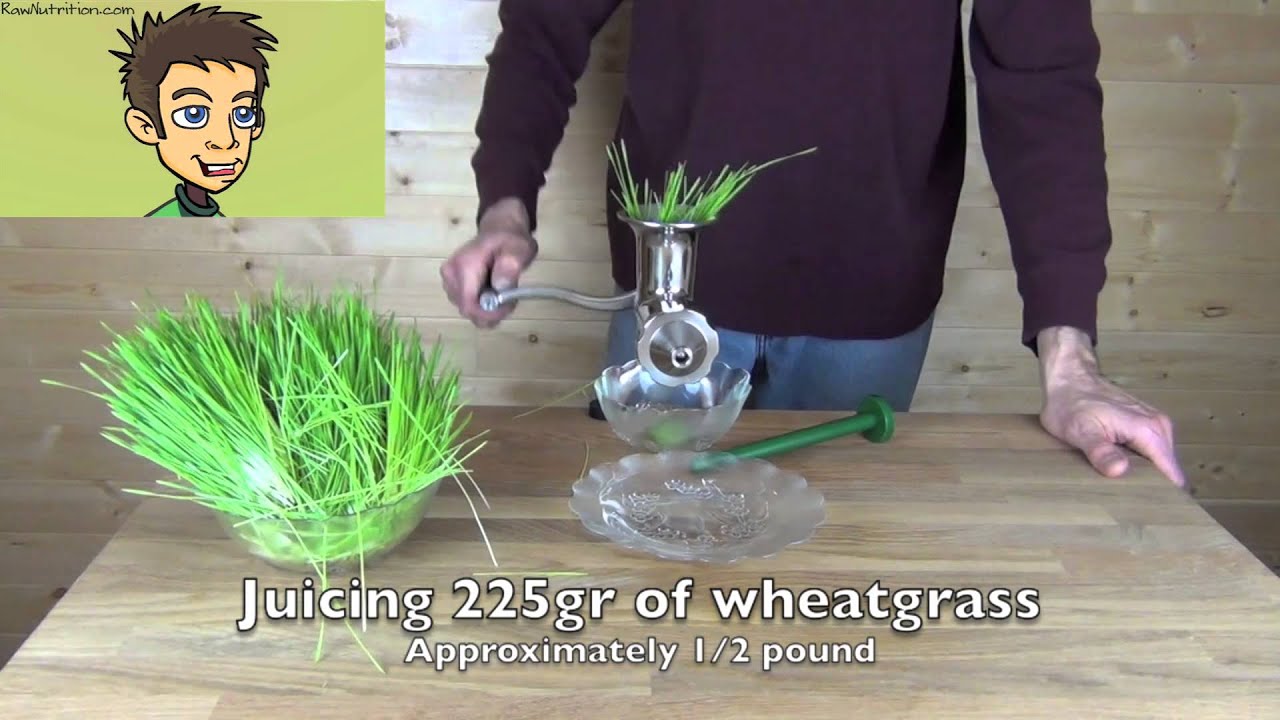 Hurricane Stainless Steel Manual Wheatgrass Juicer Demonstration in the Raw Nutrition Kitchen