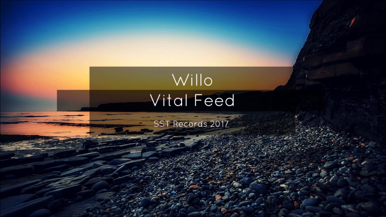 Willo - Vital Feed