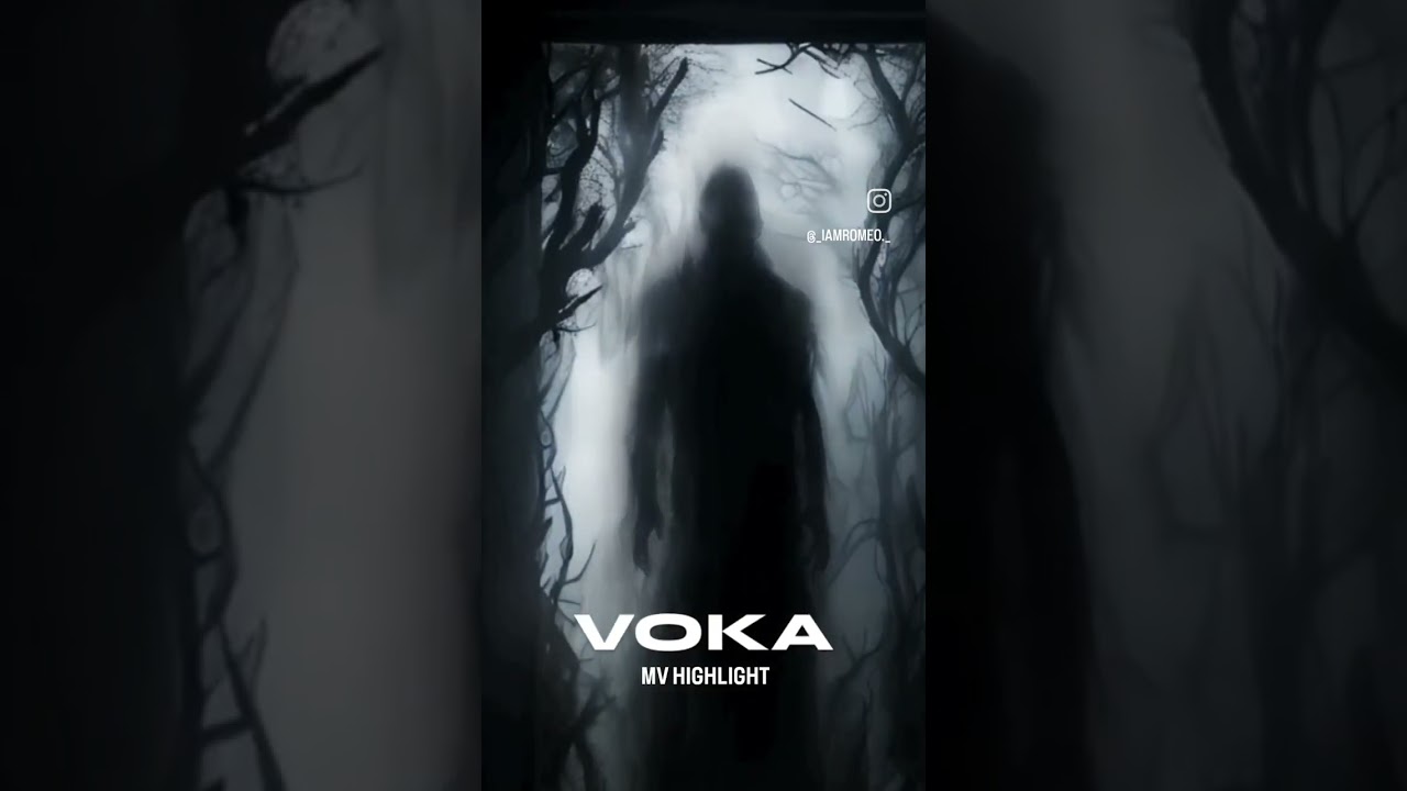 VOKA OFFICIAL M/V OUT NOW!!! 