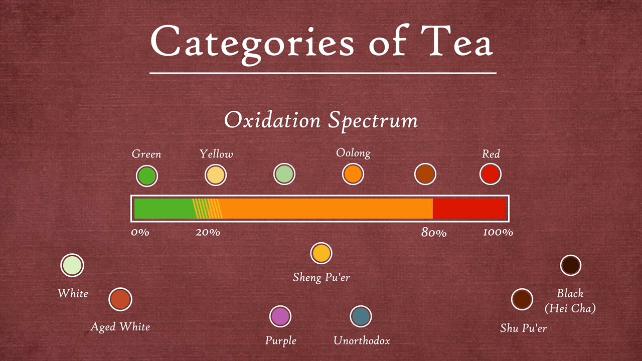 Gong Fu Tea|chA Episode 25 - Categories of Tea: A Map View