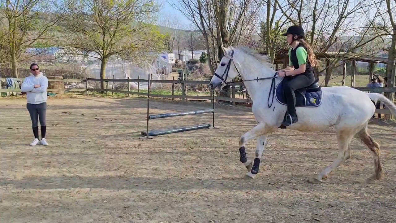 stage con Salvatore Pollara