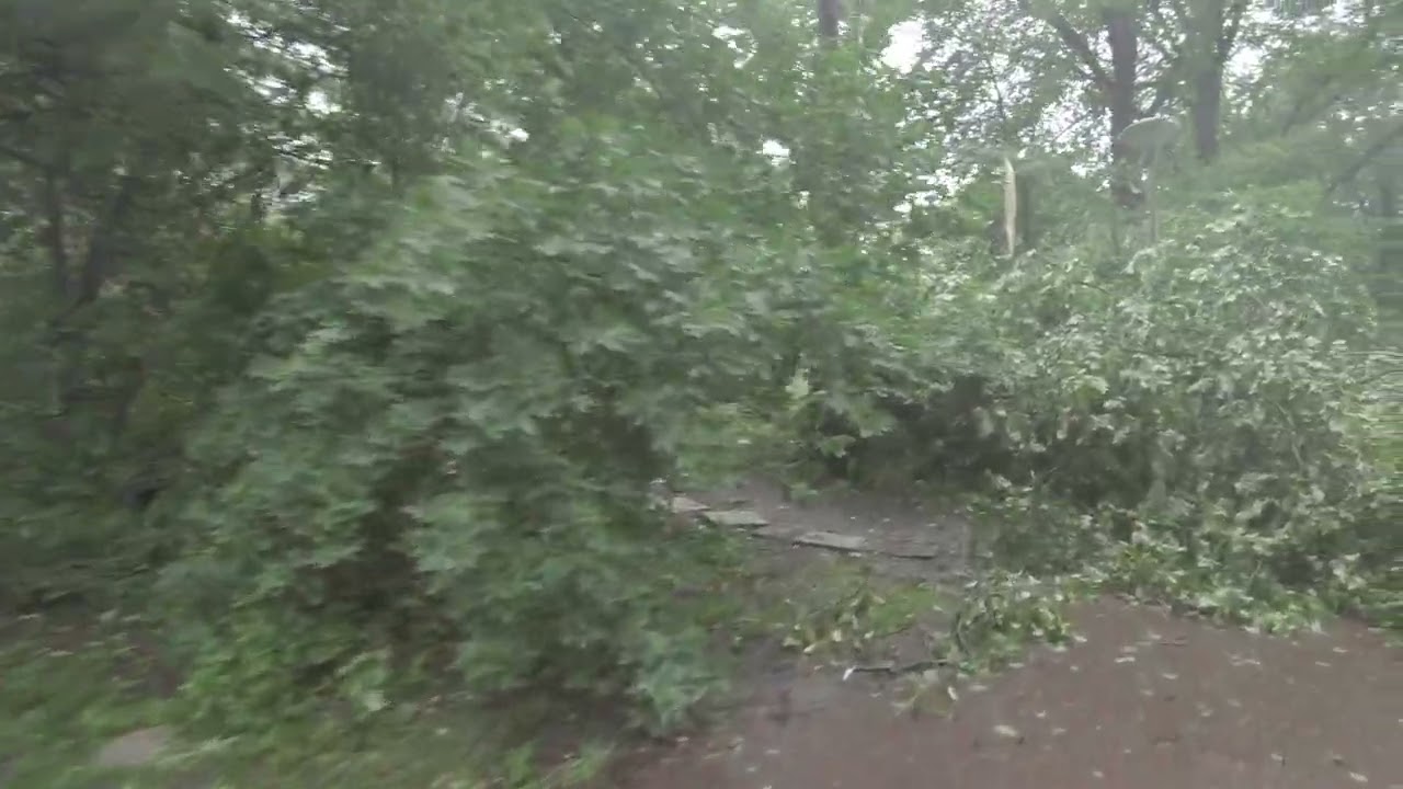 Storm Poly over Amsterdam 5-7-2023. Ravage in de Molenwijk. Havoc in the Molenwijk, Poly Holland.