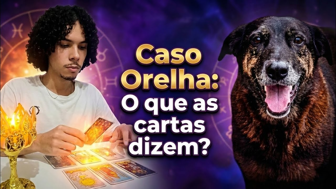 CACHORRO ORELHA: O que AS CARTAS REVELAM sobre o andamento do caso? | #justiçapororelha 