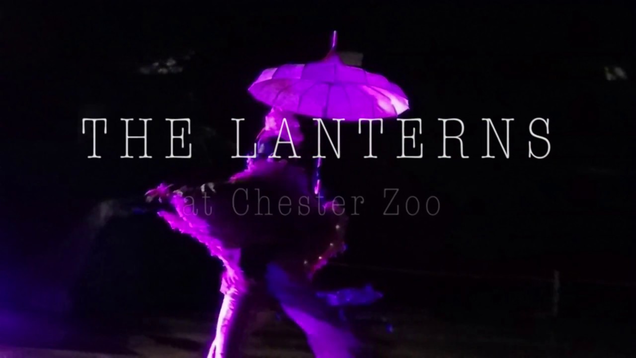 The Lanterns at Chester Zoo 2017 | Mini Travellers