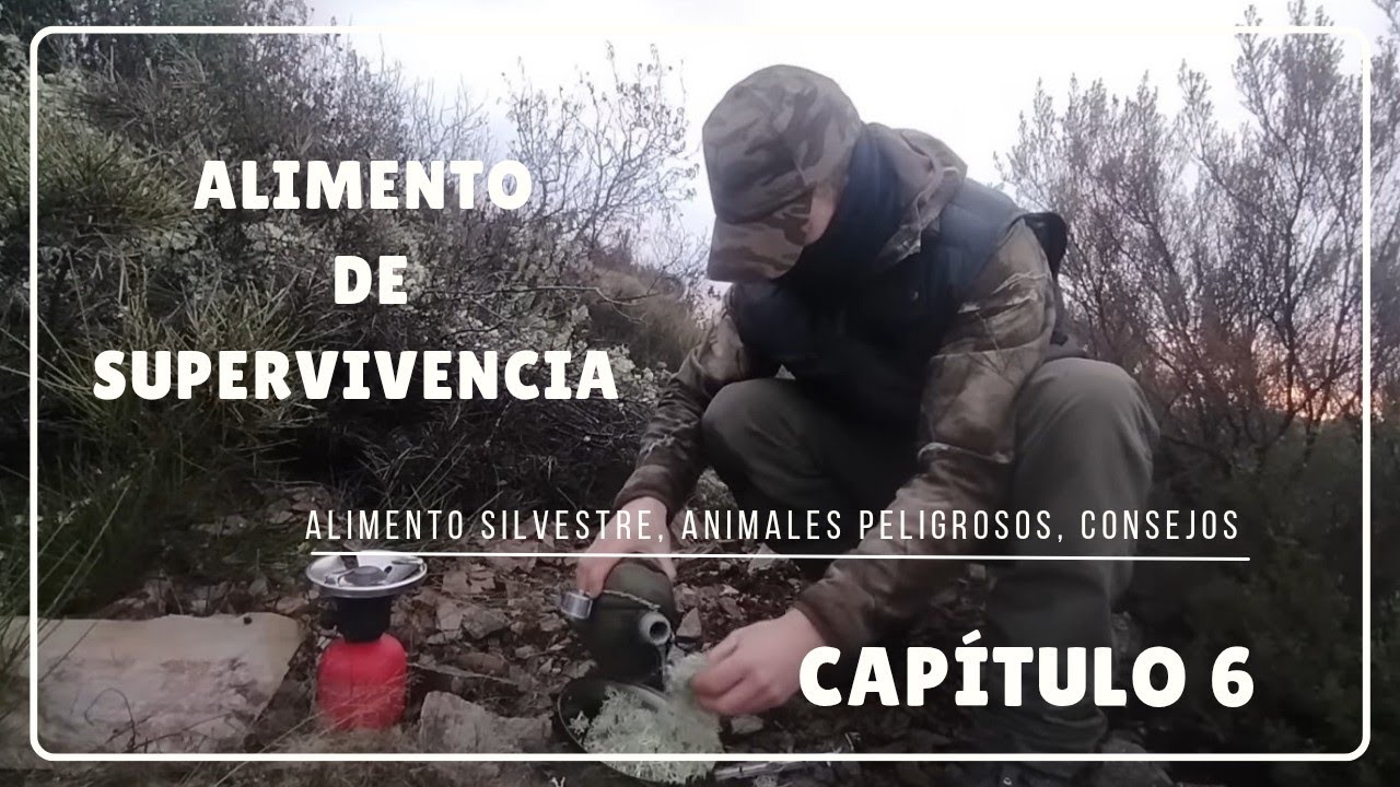 COMIDA DE SUPERVIVENCIA: LÍQUENES.