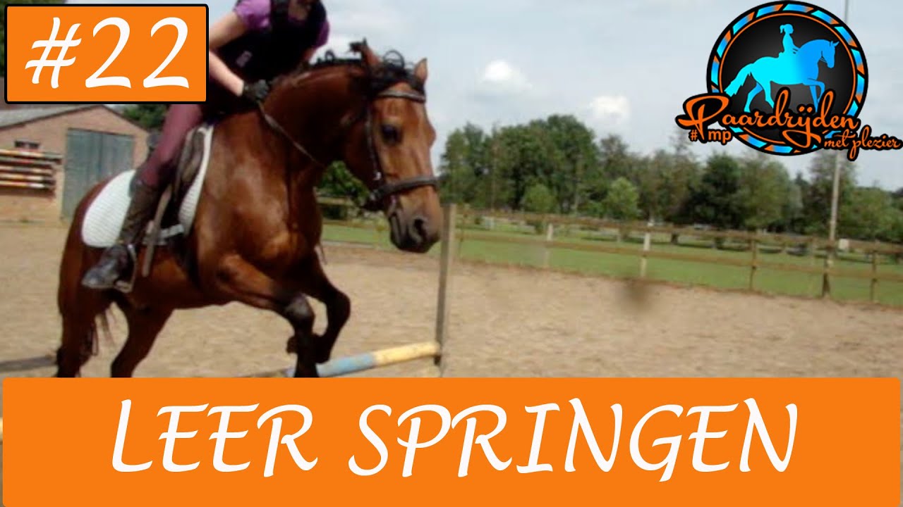 Paardrijden - Hoe leer je springen met je paard