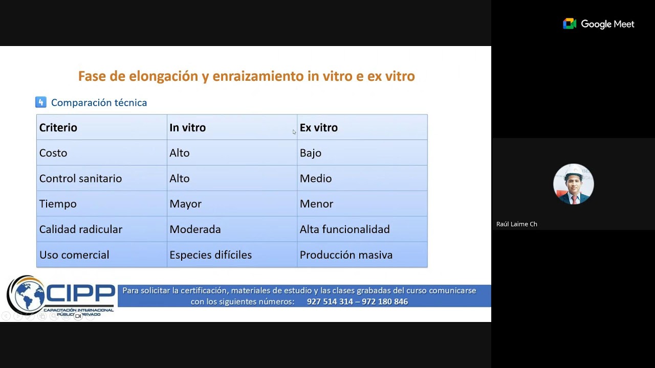 SESIÓN : 🛑*Etapas de la Micropropagación Masiva