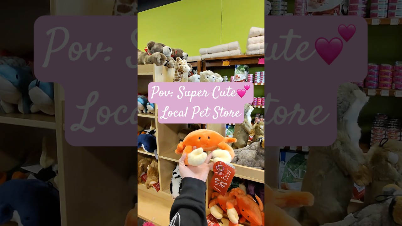 #pets #shopping