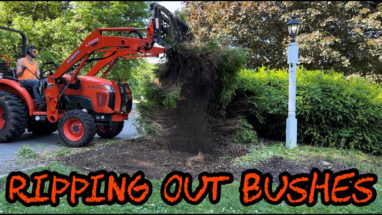 #234 Kubota Tractor & Wicked Grapple Ripping Out Bushes