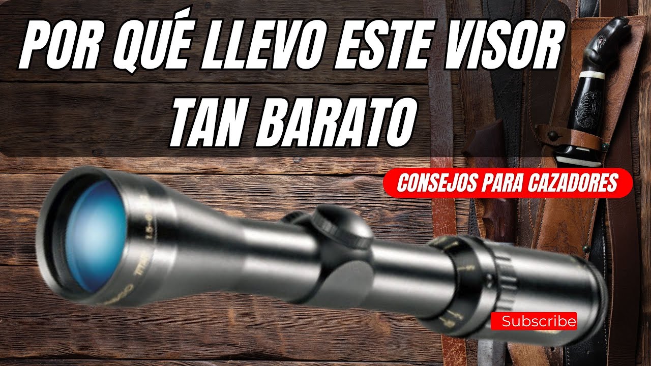 &iquest;Por qu&eacute; llevo este visor tan barato? Pero lo mejor es el resultado.