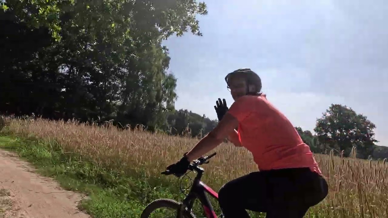 Mtb Dorst