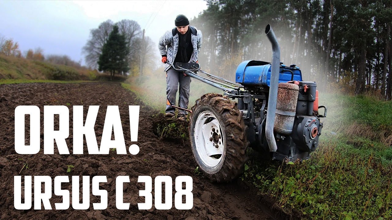 Dzik w orce/Glina i twardo/#13