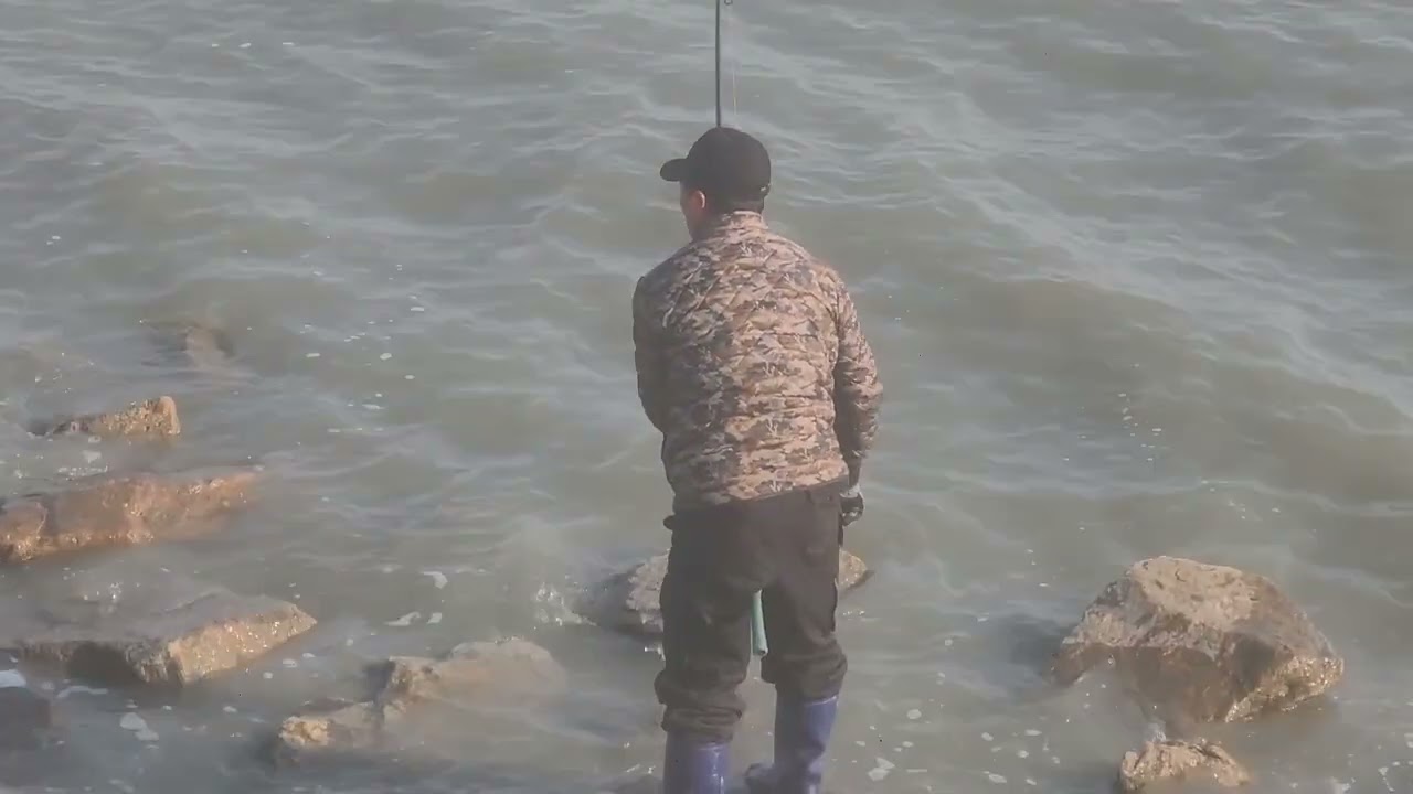 #영종도숭어훌치기