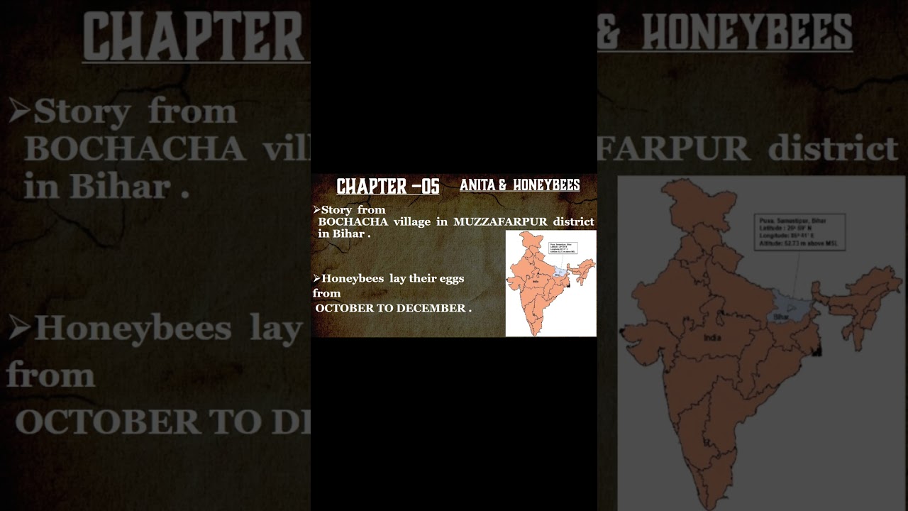 CTET 2026 | Honey Bee | EVS Insects, Pollination & Pedagogy Explained | NCERT Based | learn constant