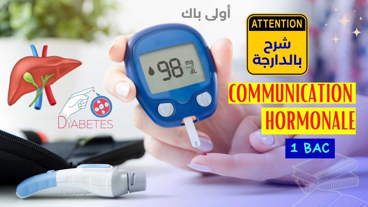 (شرح بالدارجة) la communication hormonale 1 BAC  La régulation de la glycémie