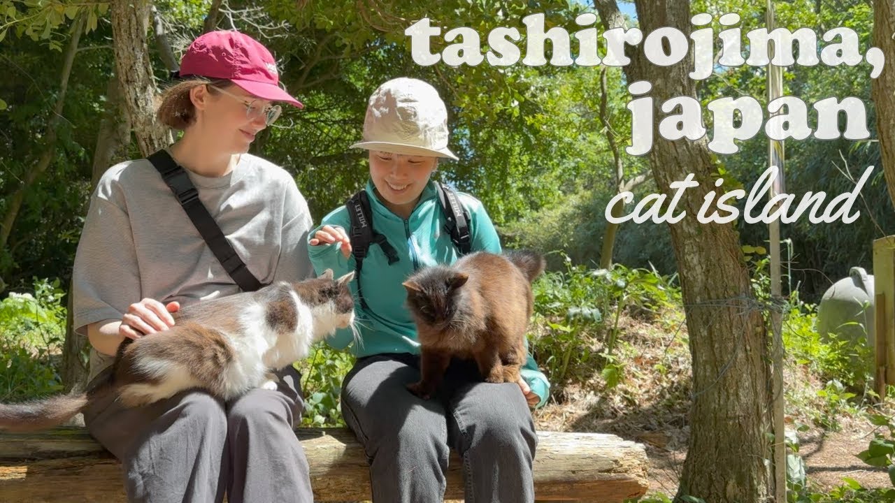 Explore Cat Island! | Tashirojima, Japan