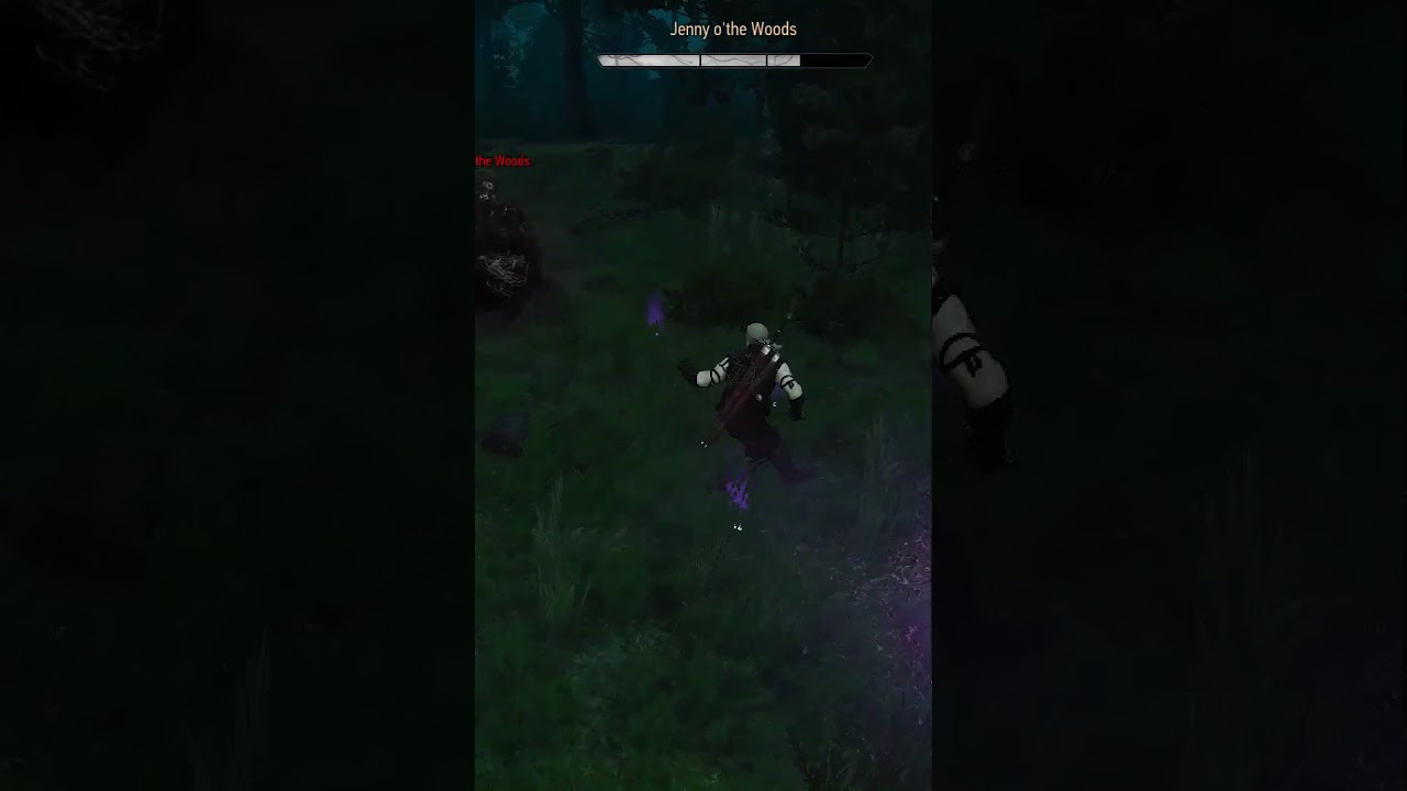 The Witcher 3 - Contract: Jenny'O The Woods