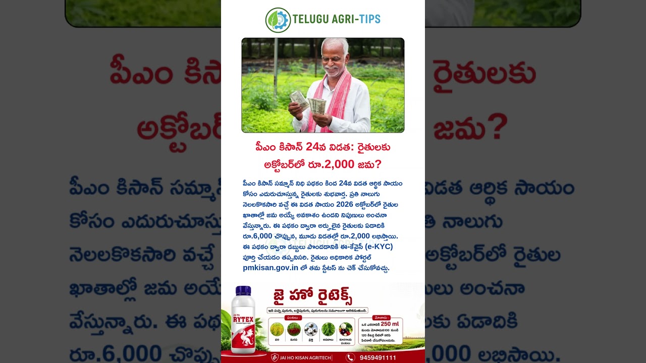పీఎం కిసాన్ 24వ విడత: రైతులకు అక్టోబర్&zwnj;లో రూ.2,000 జమ? #telugu #agriculture #viralvideo