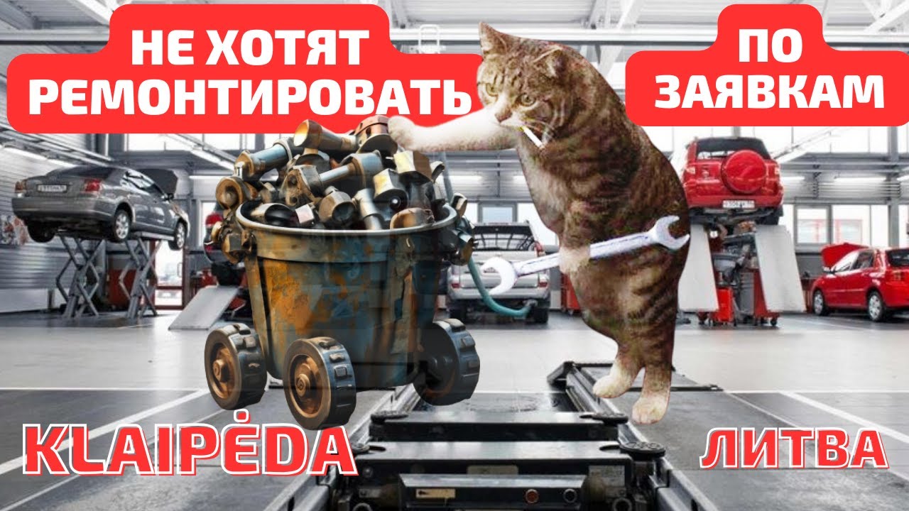 Много машин - сервисы ленятся ремонтировать. Немцы вернулись. Литва  #klaipėda