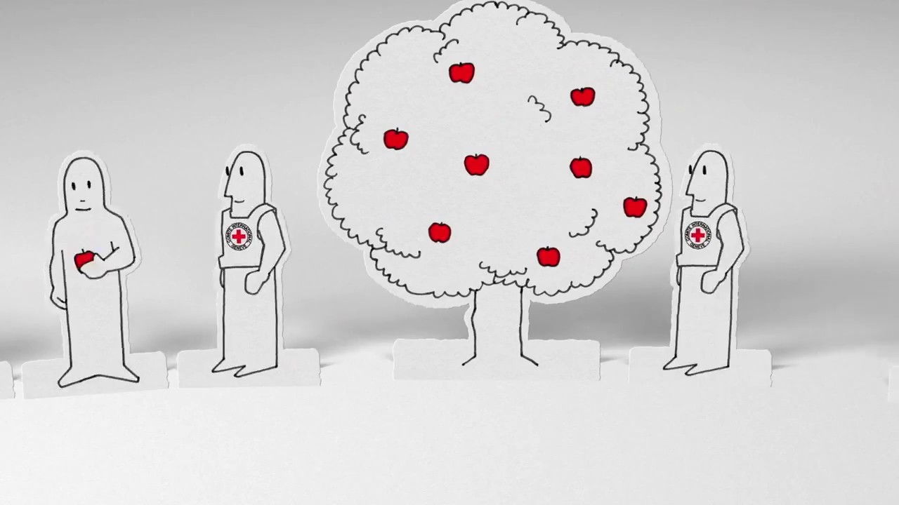 Comite Internacional da Cruz Vermelha: A humanidade em ação