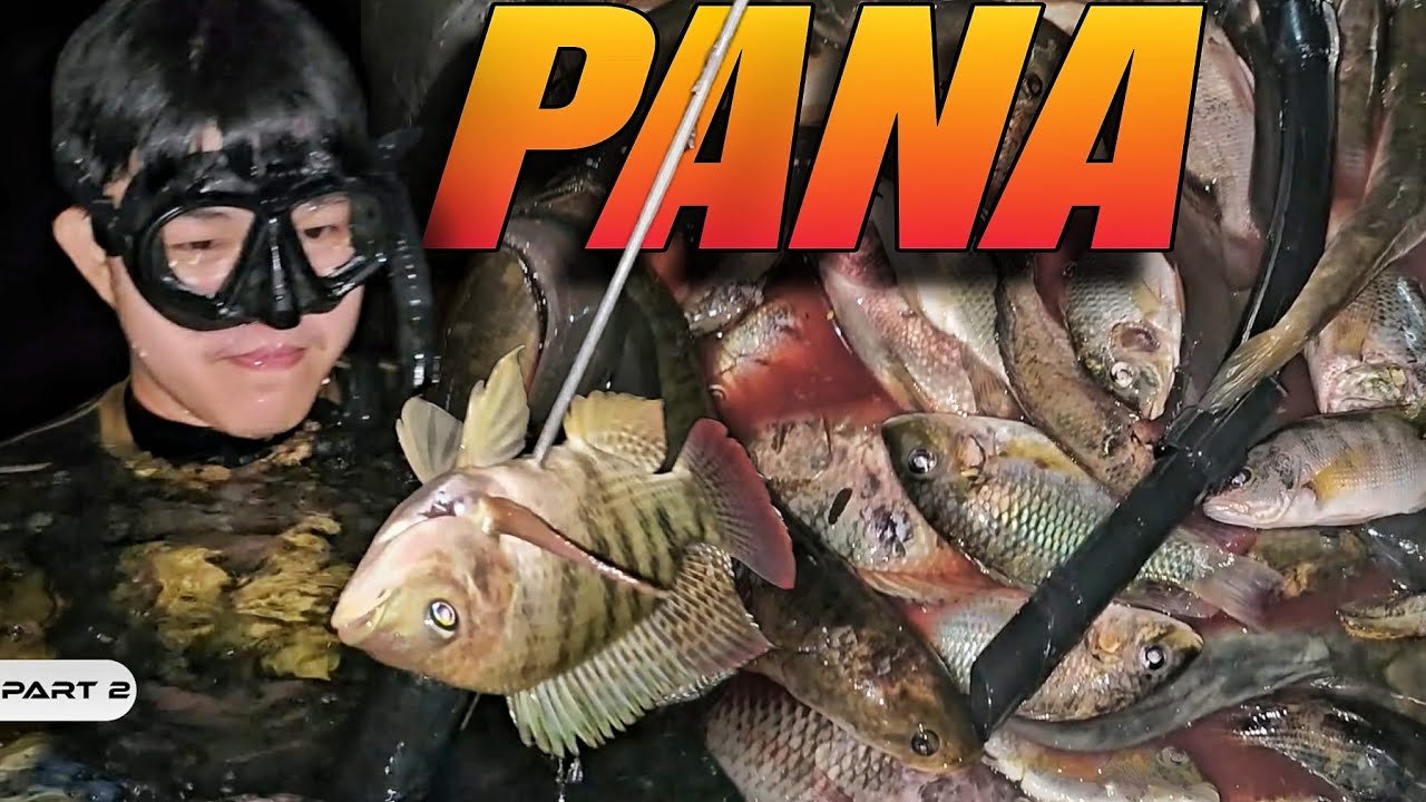P2 - NIGHT SPEARFISHING