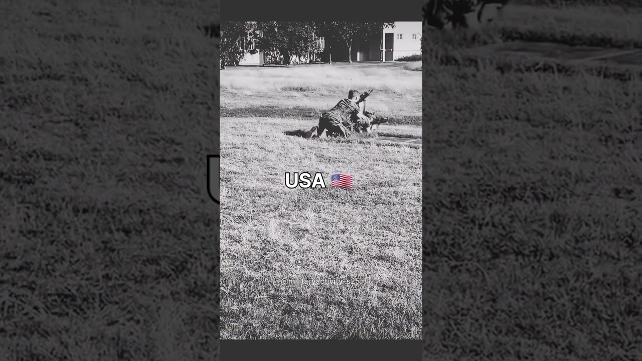 Meet the world's militaries ✨️ #funny #military